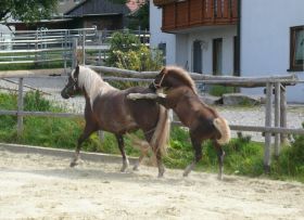 Robin fährt Schubkarre mit Mama (Antje).jpg