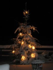Winterbilder 111208 Stimmung (1).jpg